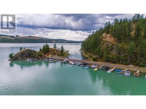 9833 Osprey Landing Drive, Wardner, BC - Outdoor With Body Of Water With View