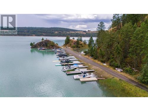 9833 Osprey Landing Drive, Wardner, BC - Outdoor With Body Of Water With View