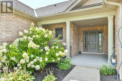 75 Sycamore Drive, Belleville, ON - Outdoor With Deck Patio Veranda