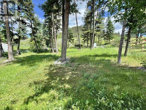 1110 N Twelfth Avenue, Williams Lake, BC - Outdoor