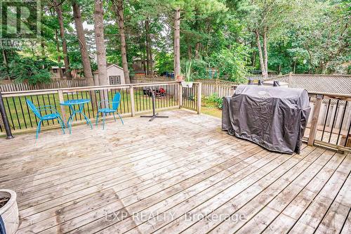 197 Park Avenue, East Gwillimbury, ON - Outdoor With Deck Patio Veranda With Exterior