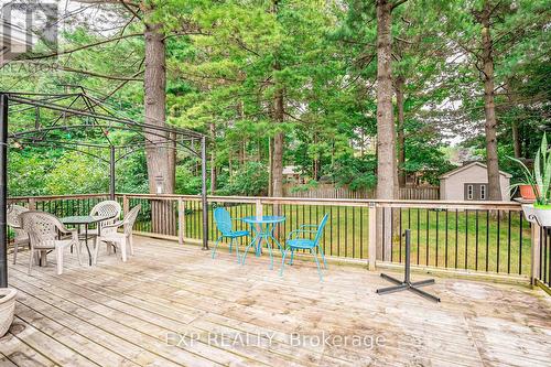 197 Park Avenue, East Gwillimbury, ON - Outdoor With Deck Patio Veranda