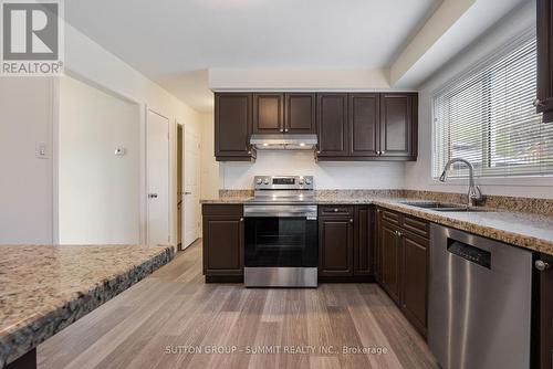 28 Storey Drive, Halton Hills (Acton), ON - Indoor Photo Showing Kitchen With Double Sink