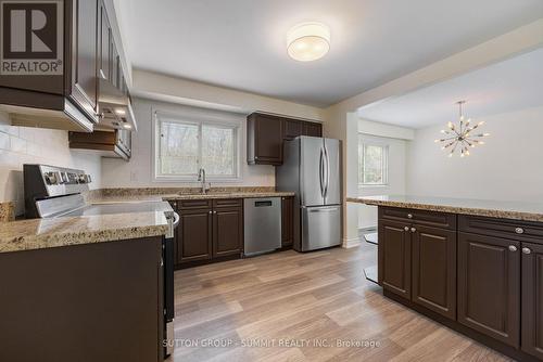 28 Storey Drive, Halton Hills (Acton), ON - Indoor Photo Showing Kitchen