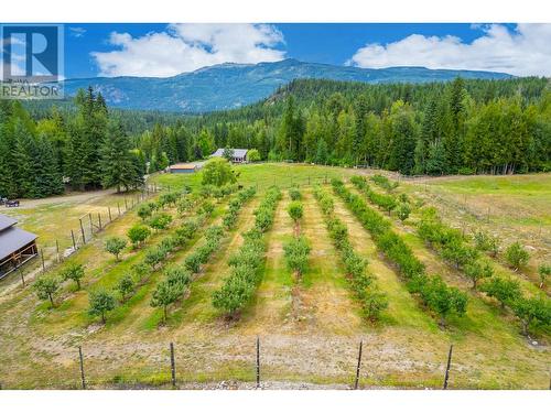 380 Richlands Road, Cherryville, BC 