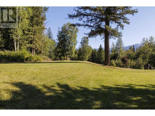 4040 Mountain View Road, Mcbride, BC - Outdoor With View