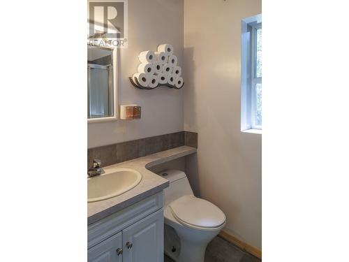 4040 Mountain View Road, Mcbride, BC - Indoor Photo Showing Bathroom