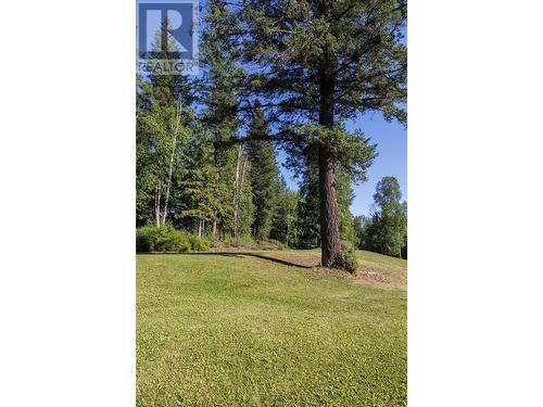 4040 Mountain View Road, Mcbride, BC - Outdoor With View