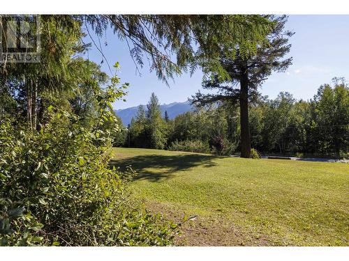 4040 Mountain View Road, Mcbride, BC - Outdoor With View