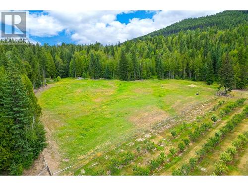 380 Richlands Road, Cherryville, BC - Outdoor With View