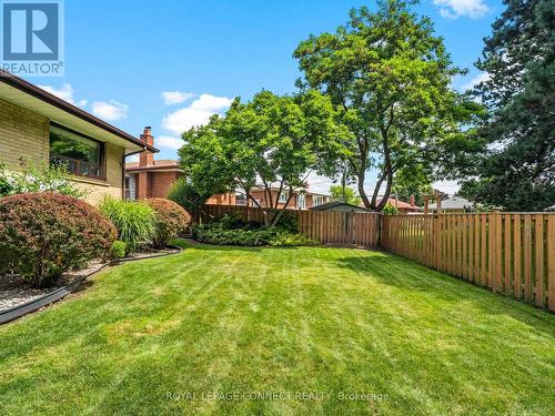 145 Cass Avenue, Toronto (Tam O'Shanter-Sullivan), ON - Outdoor With Backyard