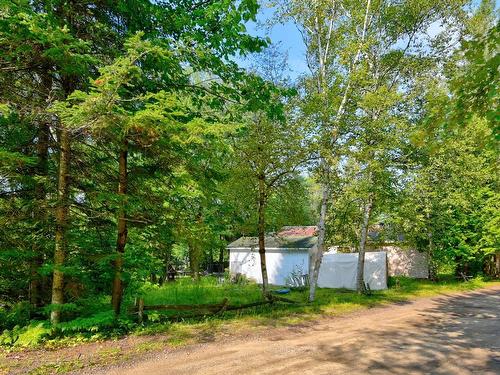 Backyard - 380 Ch. De La Rivière, Sainte-Émélie-De-L'Énergie, QC - Outdoor