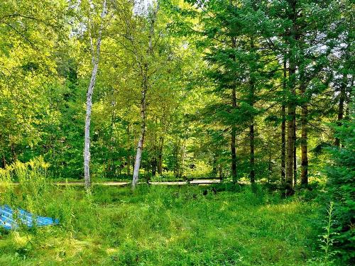 Backyard - 380 Ch. De La Rivière, Sainte-Émélie-De-L'Énergie, QC - Outdoor