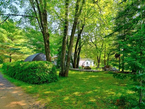 Backyard - 380 Ch. De La Rivière, Sainte-Émélie-De-L'Énergie, QC - Outdoor