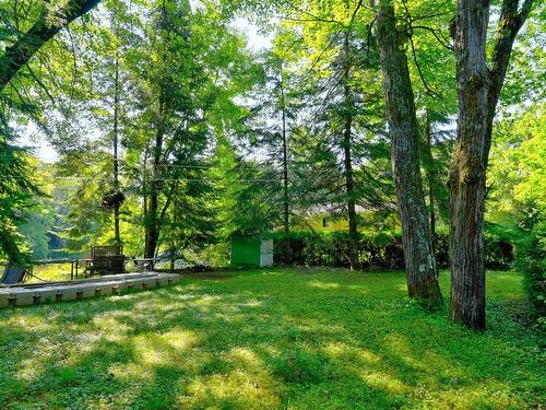 Backyard - 380 Ch. De La Rivière, Sainte-Émélie-De-L'Énergie, QC - Outdoor