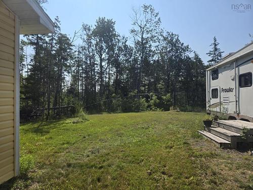 147 Ferry Branch Road, North Wallace, NS 