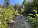 443 Donner Dr, Gold River, BC 