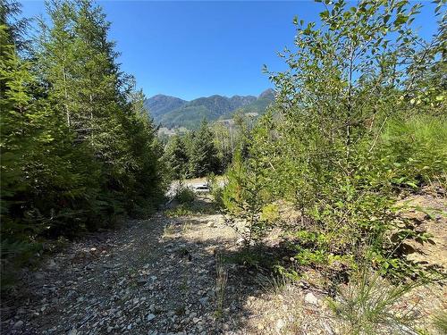 443 Donner Dr, Gold River, BC 