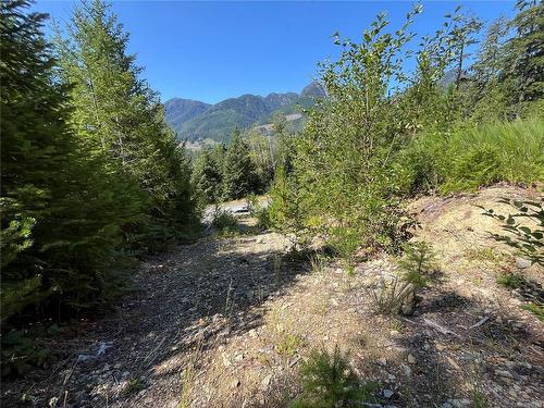 443 Donner Dr, Gold River, BC 