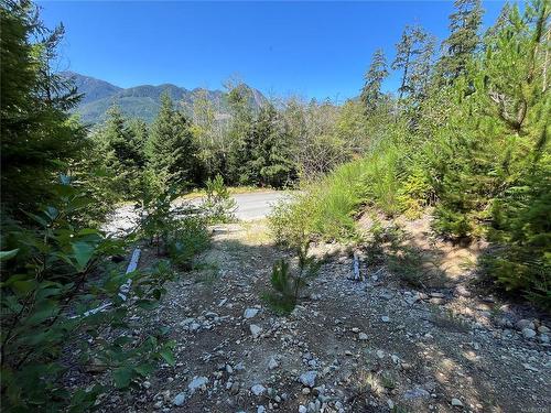 443 Donner Dr, Gold River, BC 