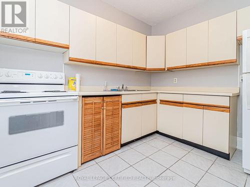 44 Joseph Street, Brampton (Downtown Brampton), ON - Indoor Photo Showing Kitchen