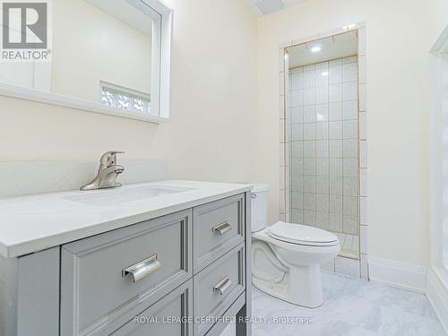 44 Joseph Street, Brampton (Downtown Brampton), ON - Indoor Photo Showing Bathroom