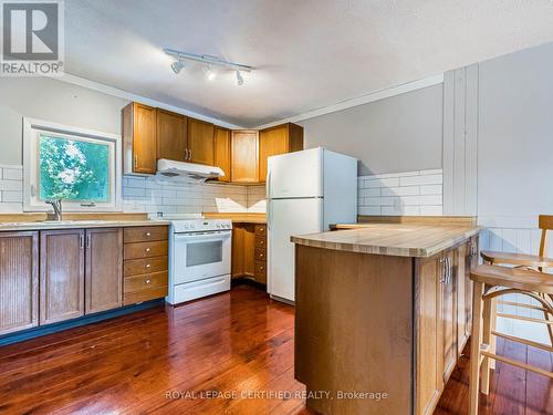 44 Joseph Street, Brampton (Downtown Brampton), ON - Indoor Photo Showing Kitchen With Double Sink