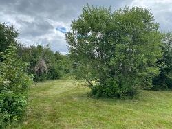 Wooded area - 