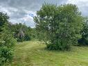 Wooded area - 4E Rang O., Saint-Bruno-De-Kamouraska, QC 