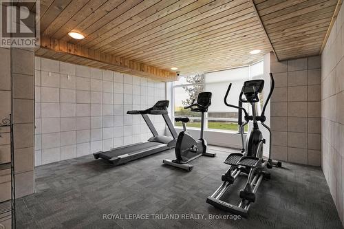 502 - 45 Pond Mills Road, London, ON - Indoor Photo Showing Gym Room