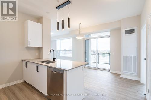 302 - 120 Springvalley Crescent, Hamilton (Gourley), ON - Indoor Photo Showing Kitchen With Double Sink