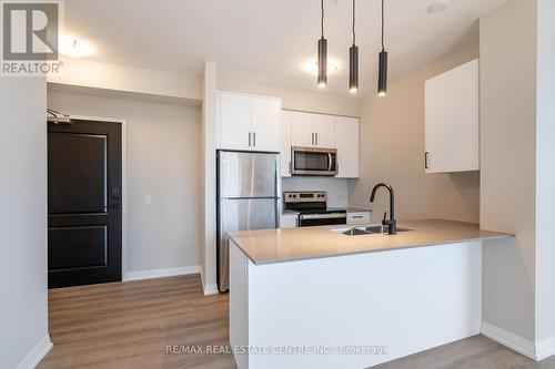 302 - 120 Springvalley Crescent, Hamilton (Gourley), ON - Indoor Photo Showing Kitchen With Double Sink