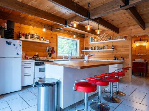 Kitchen - 1040 Ch. Beaupré, Lac-Aux-Sables, QC - Indoor Photo Showing Kitchen With Double Sink