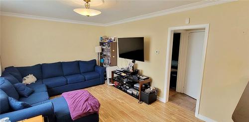 384 Talbot Street, Hamilton, ON - Indoor Photo Showing Living Room