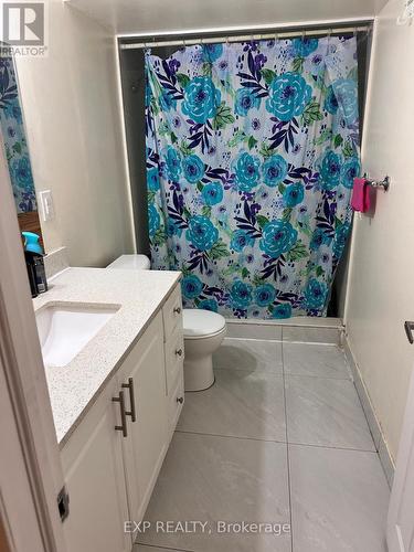 Lower - 12 Wilmot Road, Brantford, ON - Indoor Photo Showing Bathroom