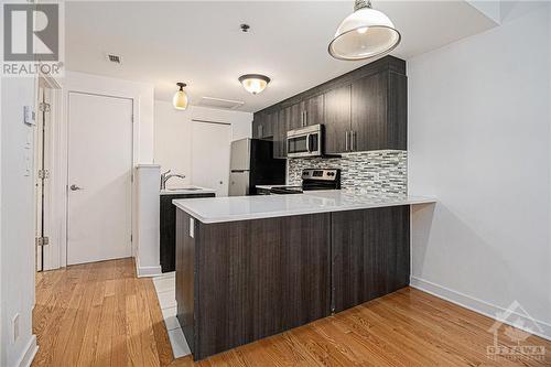 Gourmet Kitchen - 458C King Edward Avenue, Ottawa, ON - Indoor Photo Showing Kitchen