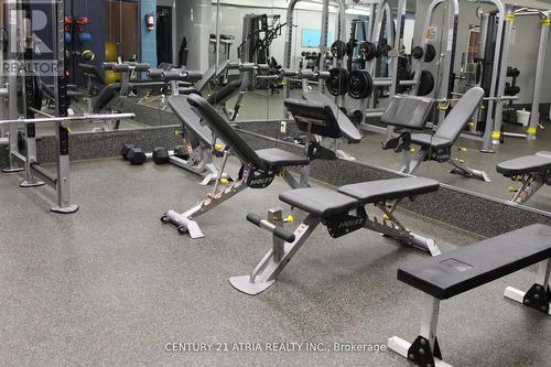 1009 - 5 Old Sheppard Avenue, Toronto (Pleasant View), ON - Indoor Photo Showing Gym Room