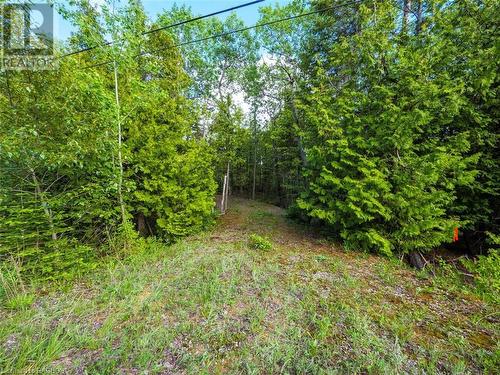 Lot 31-32 Big Tub Road, Tobermory, ON 