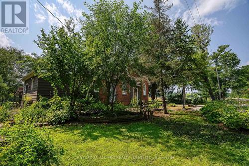 3826 Vic Lightle Road, Port Hope, ON - Outdoor