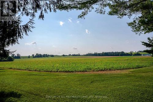 3826 Vic Lightle Road, Port Hope, ON - Outdoor With View