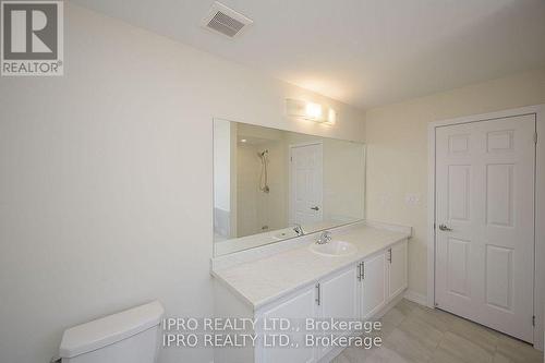 106 Sunflower Crescent, Thorold, ON - Indoor Photo Showing Bathroom