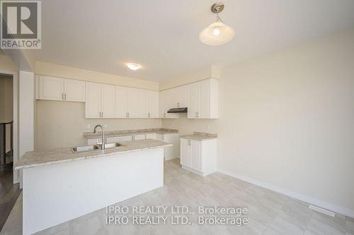 106 Sunflower Crescent, Thorold, ON - Indoor Photo Showing Kitchen With Double Sink