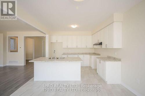 106 Sunflower Crescent, Thorold, ON - Indoor Photo Showing Kitchen With Double Sink