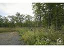 1310 Cumberland Ridge Drive, Cumberland, ON 