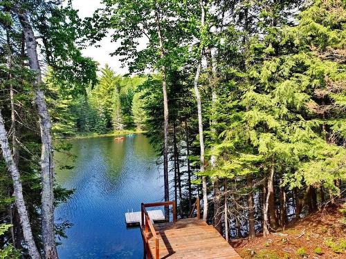 Bord de l'eau - 21 Ch. Des Pionniers, La Conception, QC - Outdoor With Body Of Water