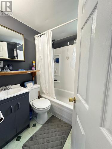 86 A Main Road, Trout River, NL - Indoor Photo Showing Bathroom