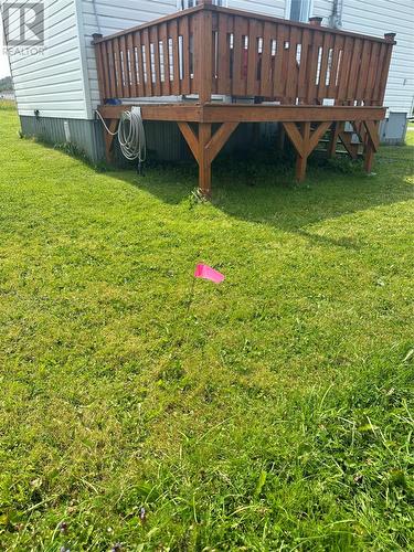 86 A Main Road, Trout River, NL - Outdoor With Deck Patio Veranda