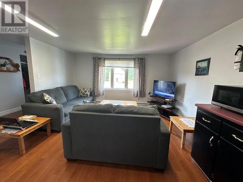 86 A Main Road, Trout River, NL - Indoor Photo Showing Living Room