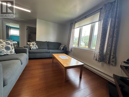 86 A Main Road, Trout River, NL - Indoor Photo Showing Living Room