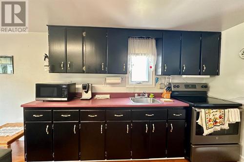 86 A Main Road, Trout River, NL - Indoor Photo Showing Kitchen